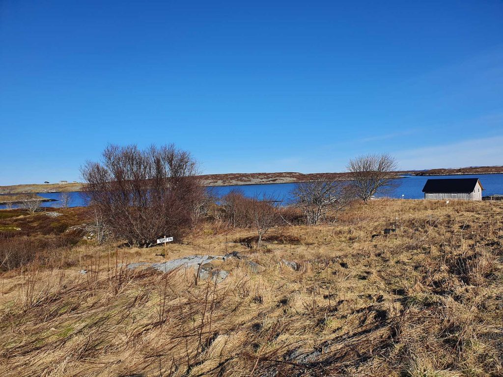 Utsikt mot Frøya